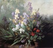 Barbara Bodichon Landscape with Irises USA oil painting artist